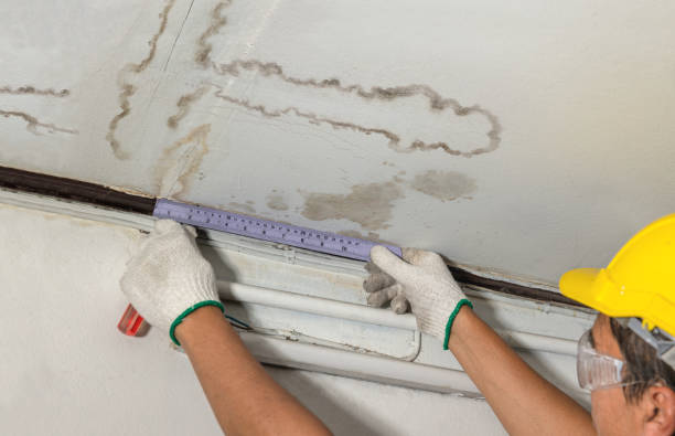 24/7 Emergency Structural Drying experts in Longbranch, WA