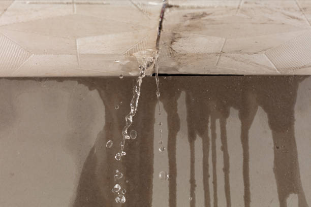 Professional Structural Drying technician working in Longbranch, WA